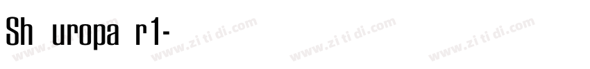 Sh EuropaNr1字体转换